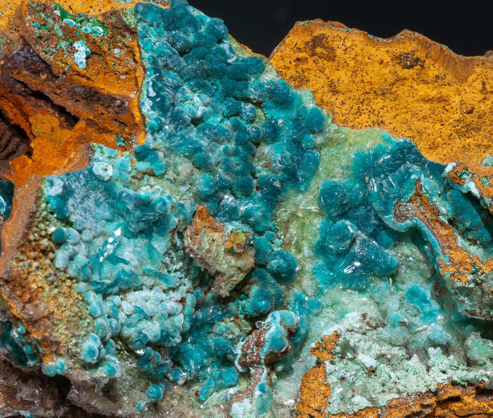 specimens/s_imagesAF0/Rosasite-SC96AF0d.jpg