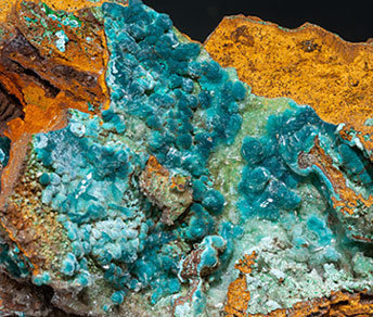 Rosasite with Aurichalcite and Gypsum. 