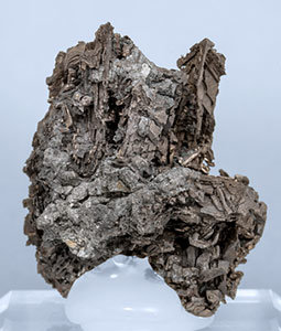 Bismuto. Vista posterior