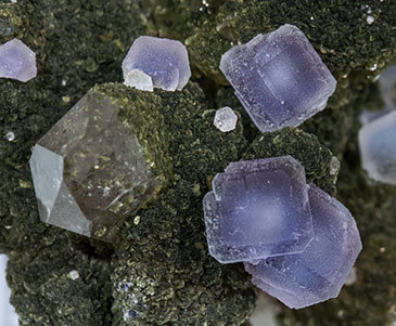 Fluorite with Quartz, Muscovite and Chlorite. 
