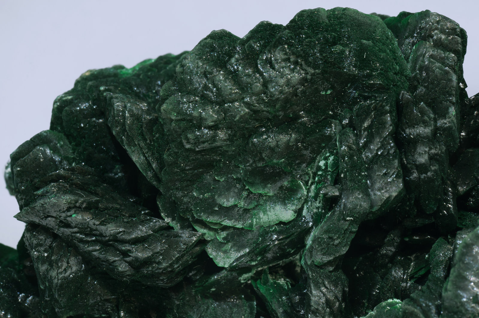 specimens/s_imagesAF1/Malachite-TR66AF1d.jpg