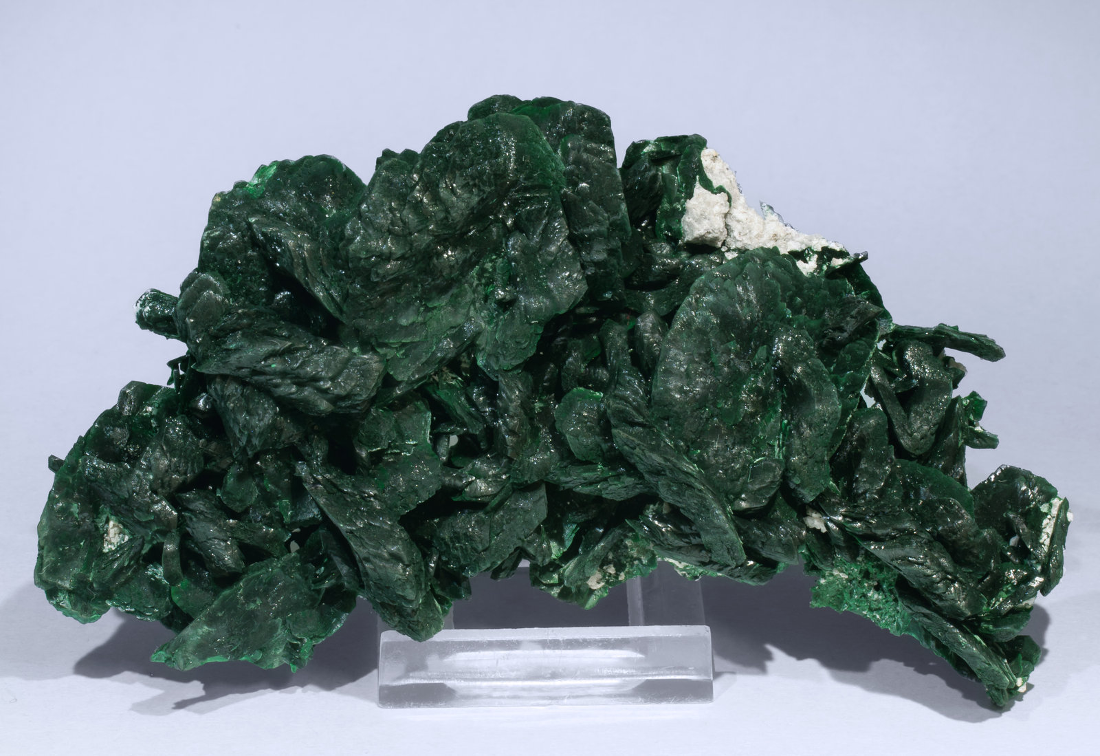 specimens/s_imagesAF1/Malachite-TR66AF1f.jpg