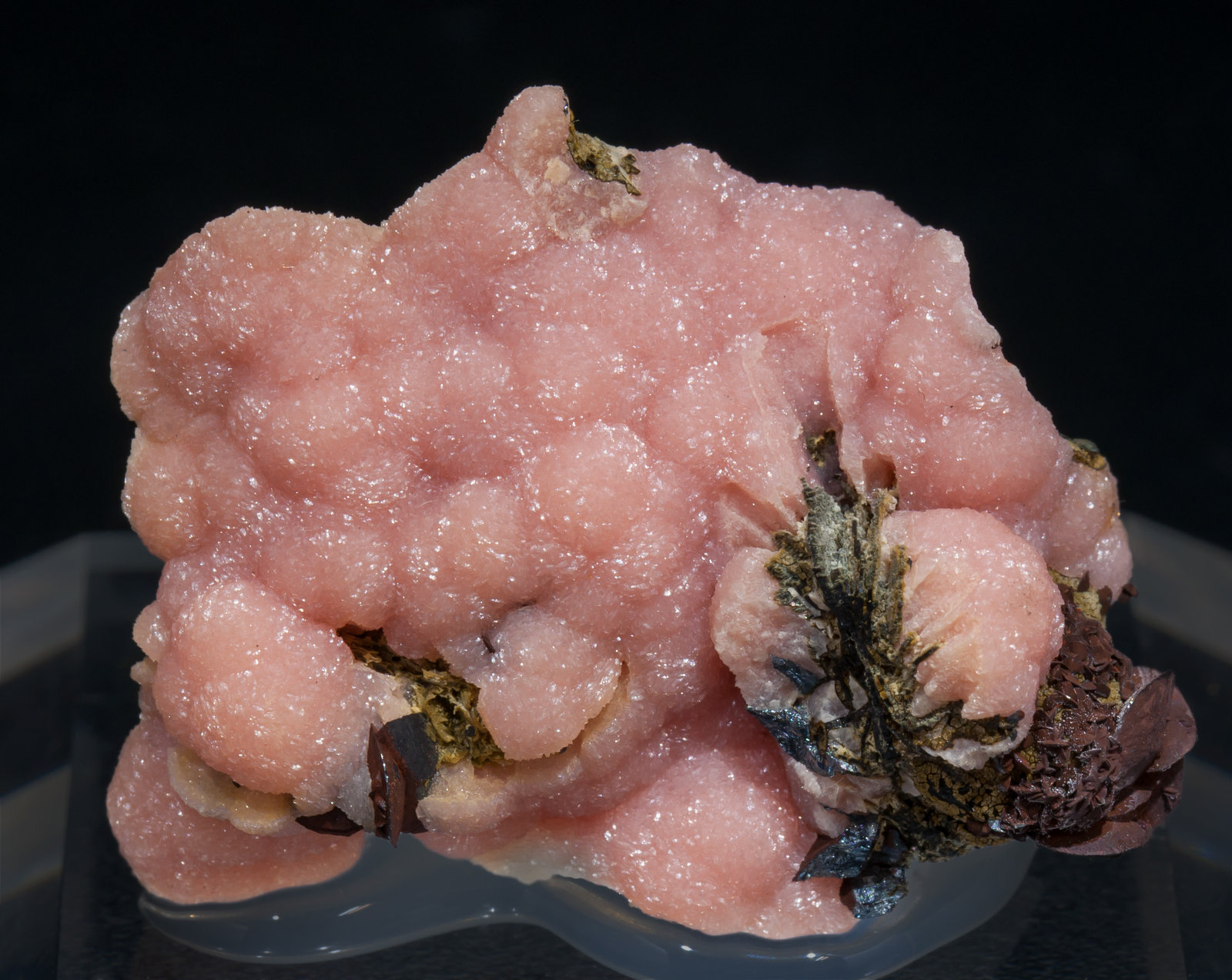 specimens/s_imagesAF1/Rhodochrosite-TD13AF1f.jpg