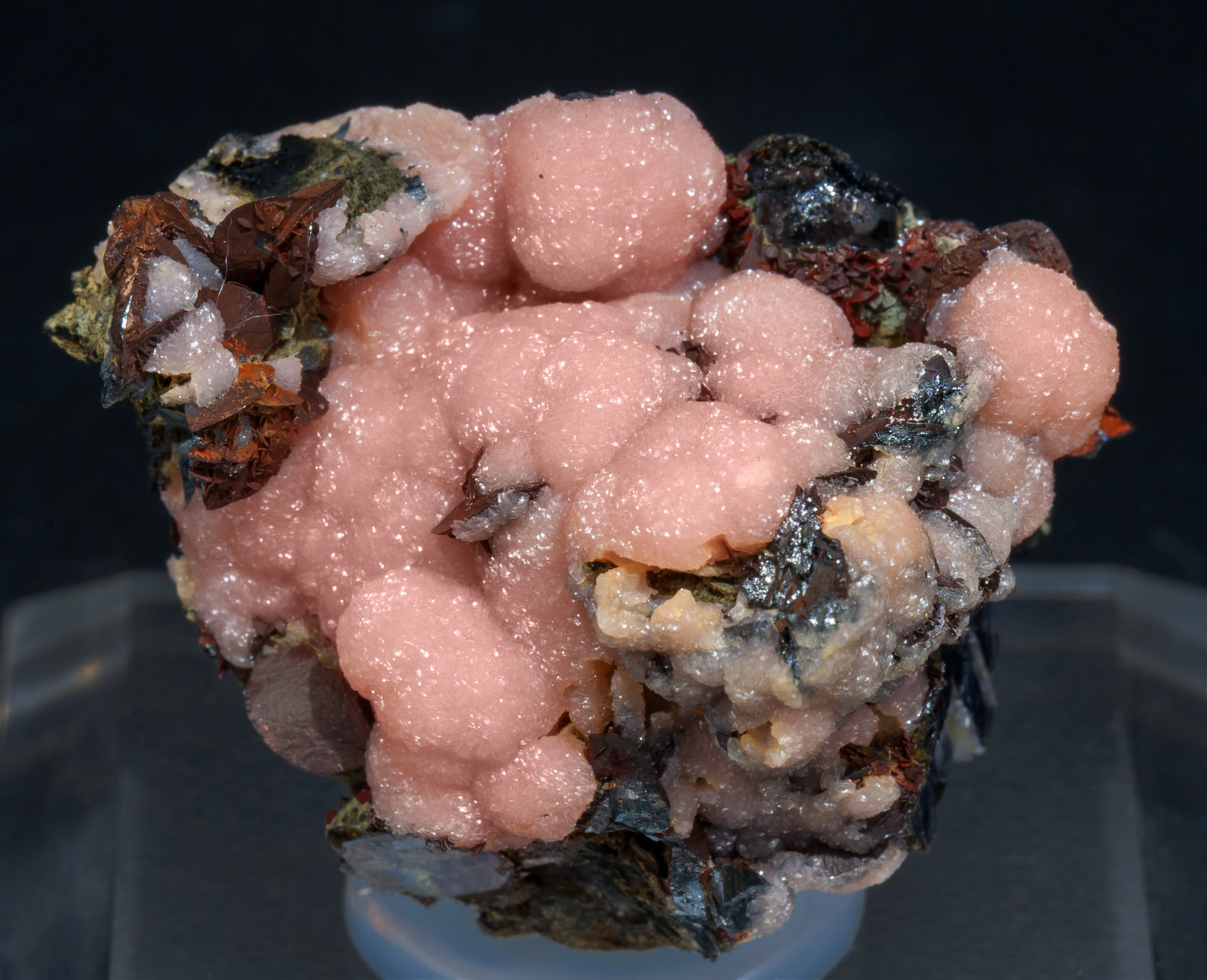 specimens/s_imagesAF1/Rhodochrosite-TH14AF1f.jpg