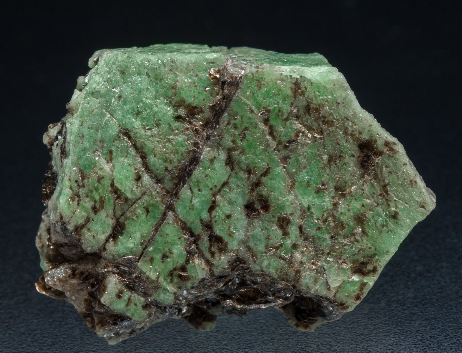 specimens/s_imagesAF2/Beryl_emerald-NV6AF2f.jpg