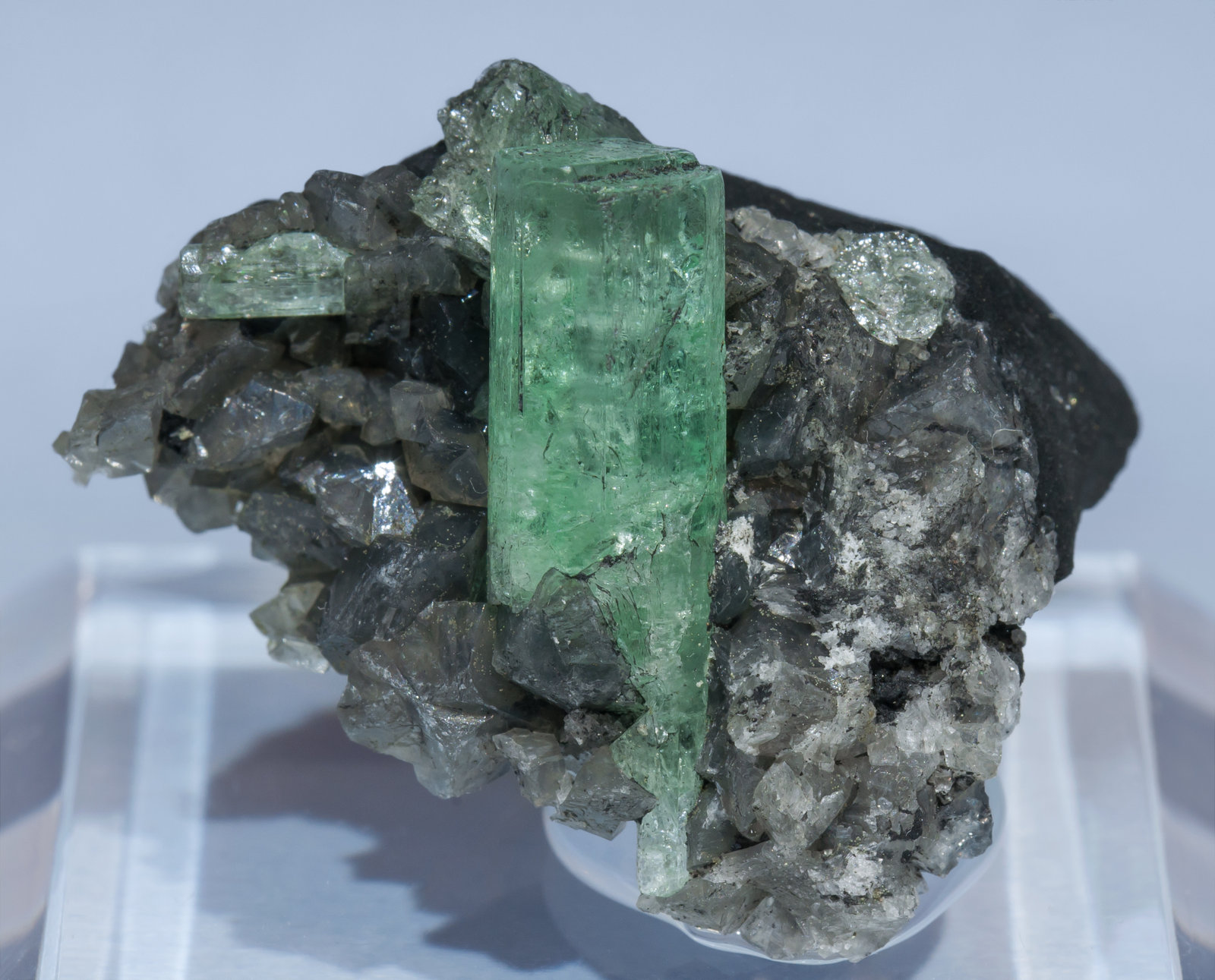 specimens/s_imagesAF2/Beryl_emerald-TP88AF2f.jpg