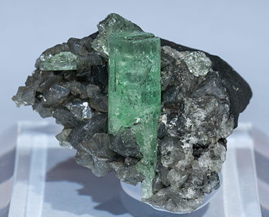 Beryl (variety emerald) with Calcite. 