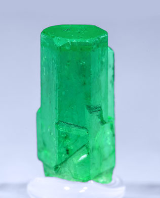 Beryl (variety emerald). Rear (white background)