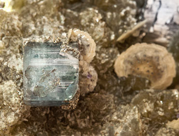 Chalcopyrite with Arsenopyrite, Fluorapatite, Siderite and Muscovite. 