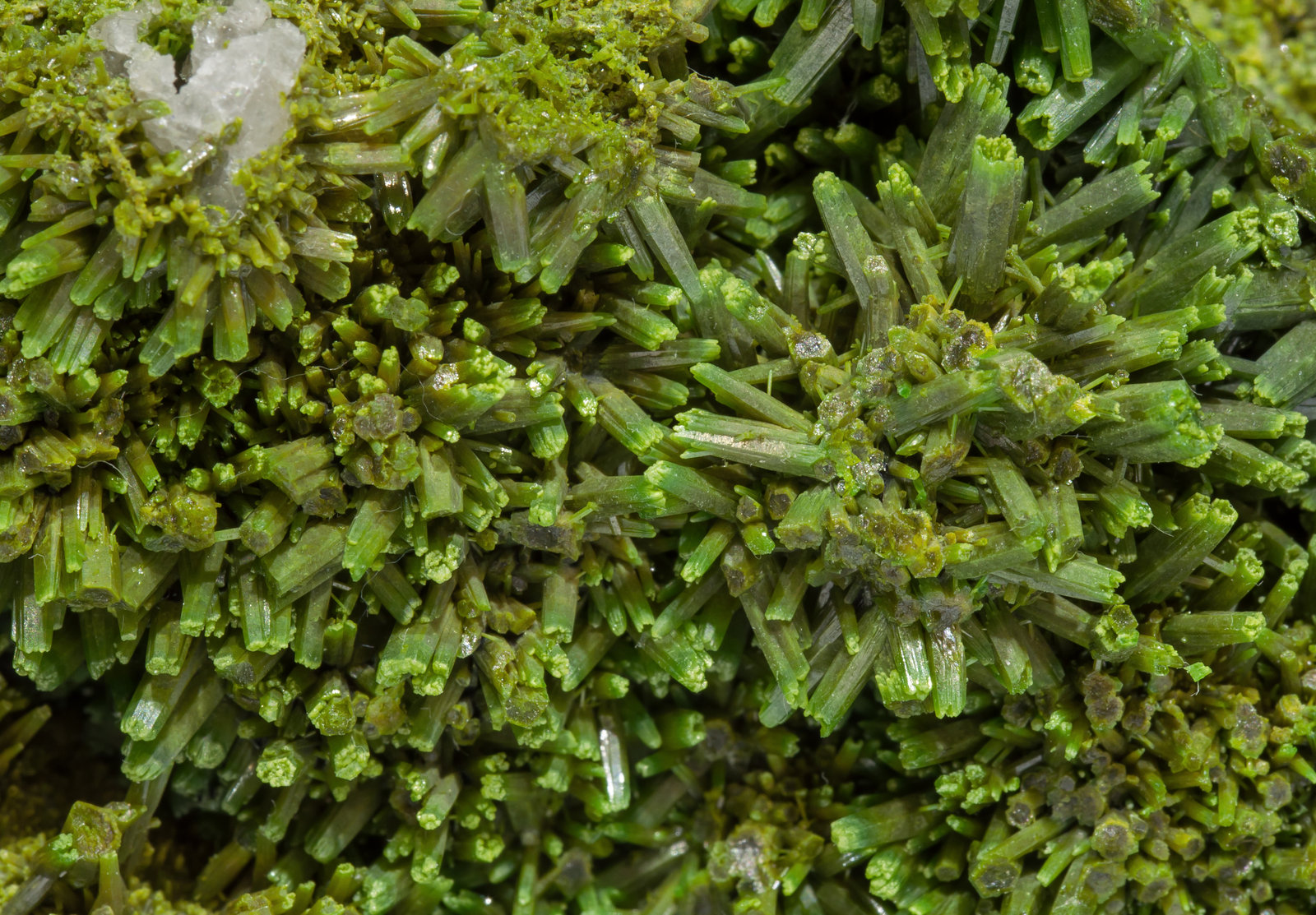 specimens/s_imagesAF2/Pyromorphite-TB90AF2d.jpg