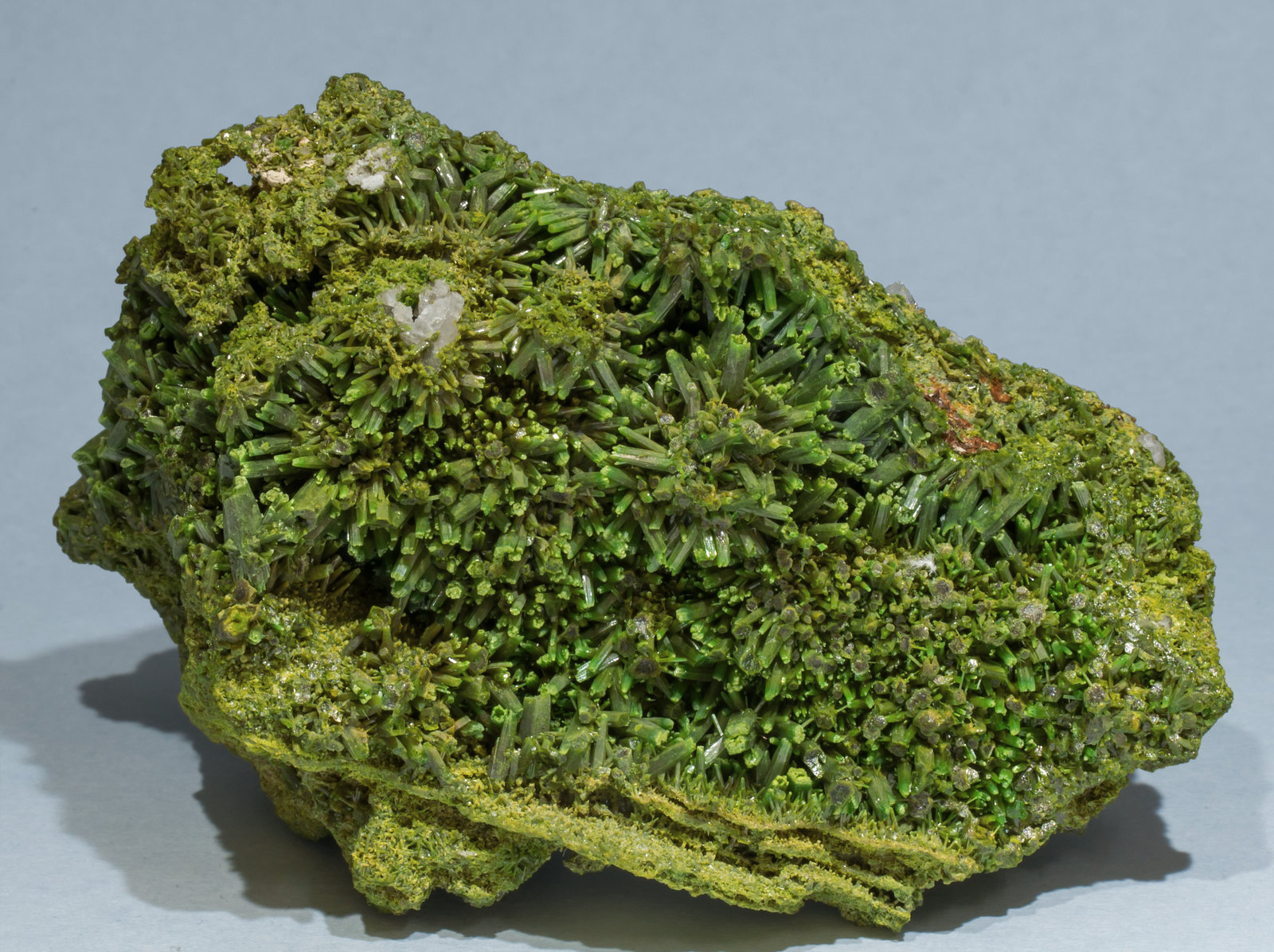 specimens/s_imagesAF2/Pyromorphite-TB90AF2f.jpg