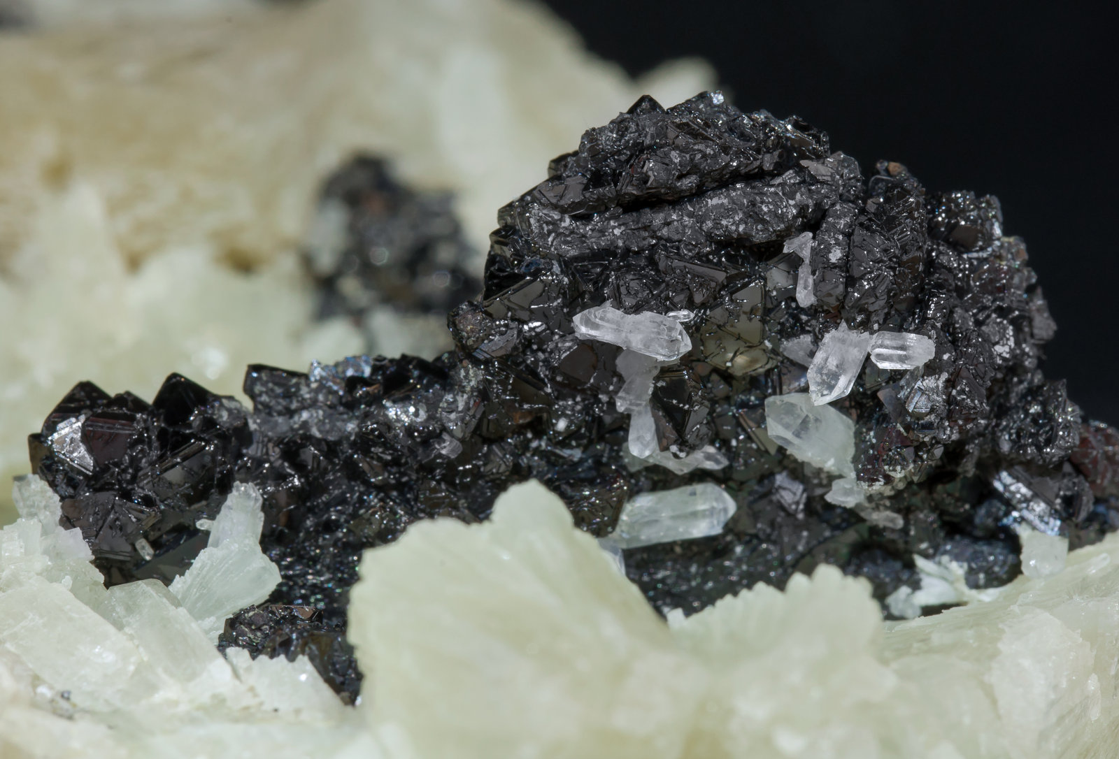 specimens/s_imagesAF3/Hematite-MH66AF3d2.jpg