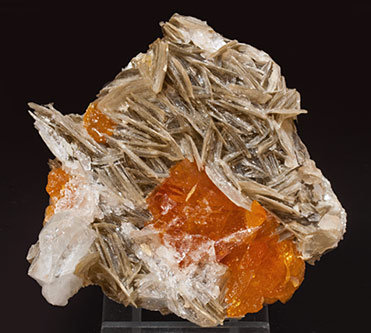 Scheelite with Beryl (variety goshenite) and Muscovite. 