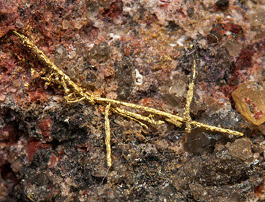 Gold (electrum variety) with Erythrite. 