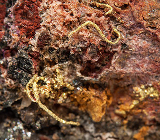 Gold (electrum variety) with Erythrite. 