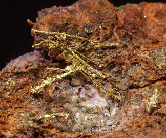 Gold (electrum variety) with Erythrite. 