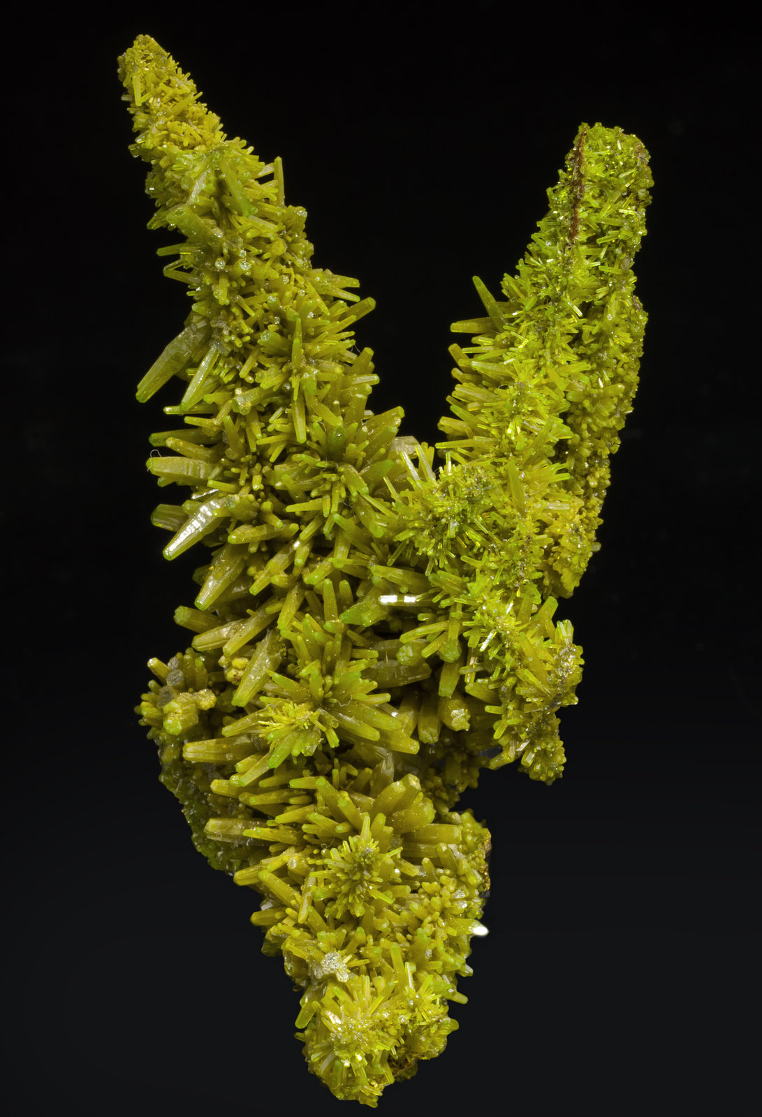 specimens/s_imagesAF4/Pyromorphite-DM48AF4f.jpg