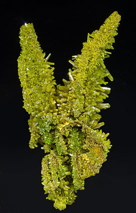 Pyromorphite. Rear