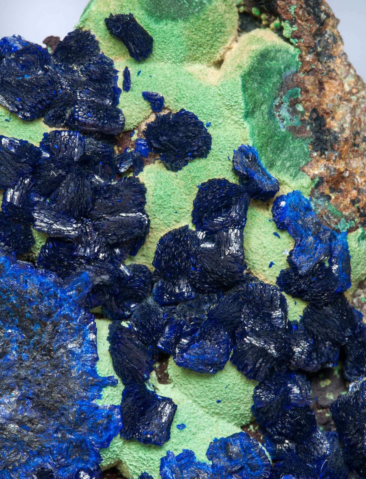 specimens/s_imagesAF5/Azurite-EH6AF5d.jpg