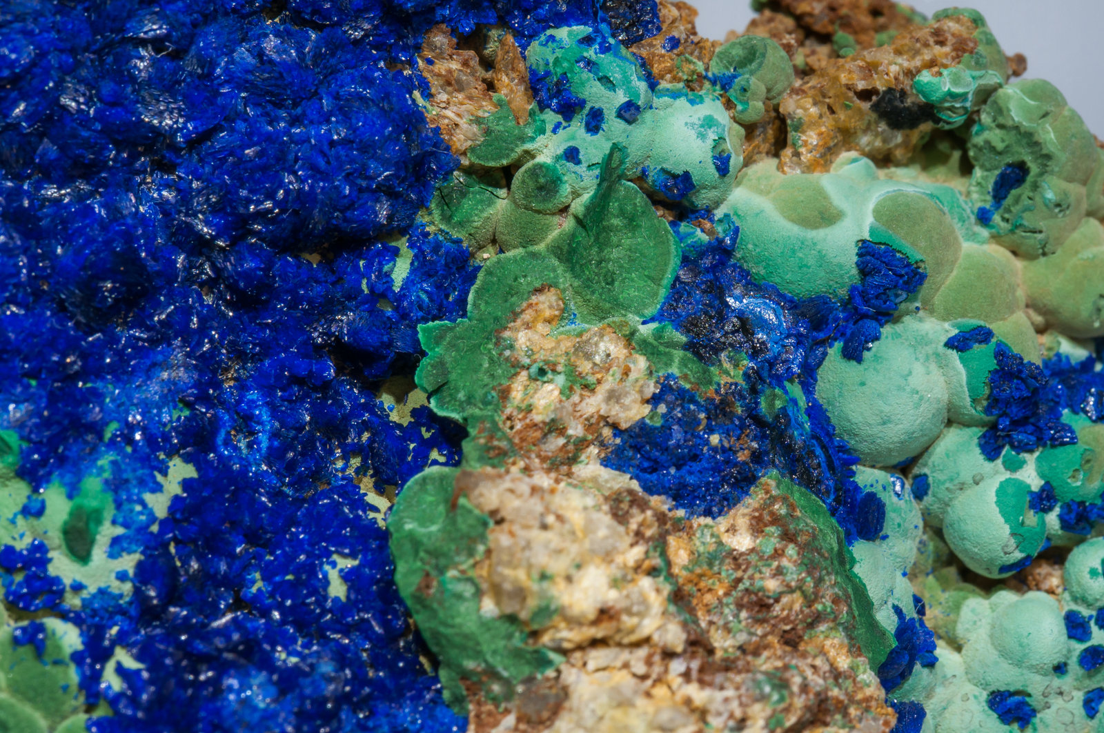 specimens/s_imagesAF5/Azurite-EK96AF5d.jpg