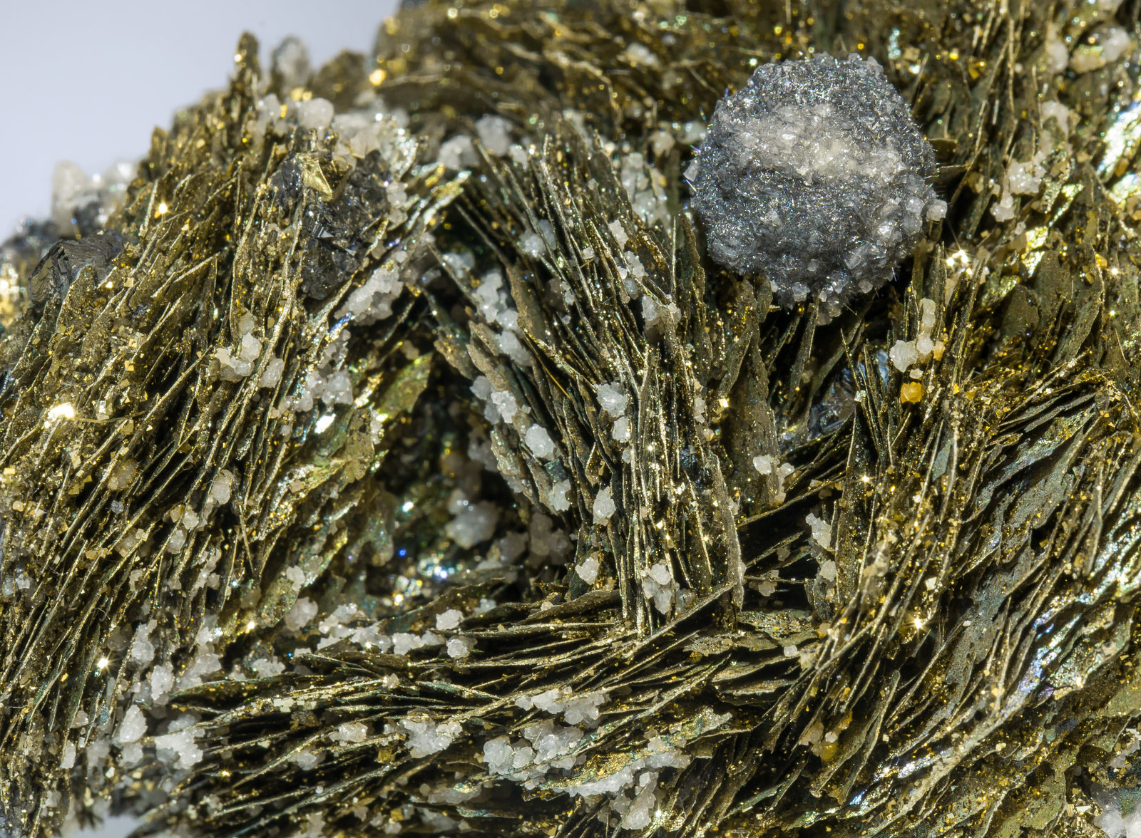 specimens/s_imagesAF5/Pyrite-EZ47AF5d.jpg