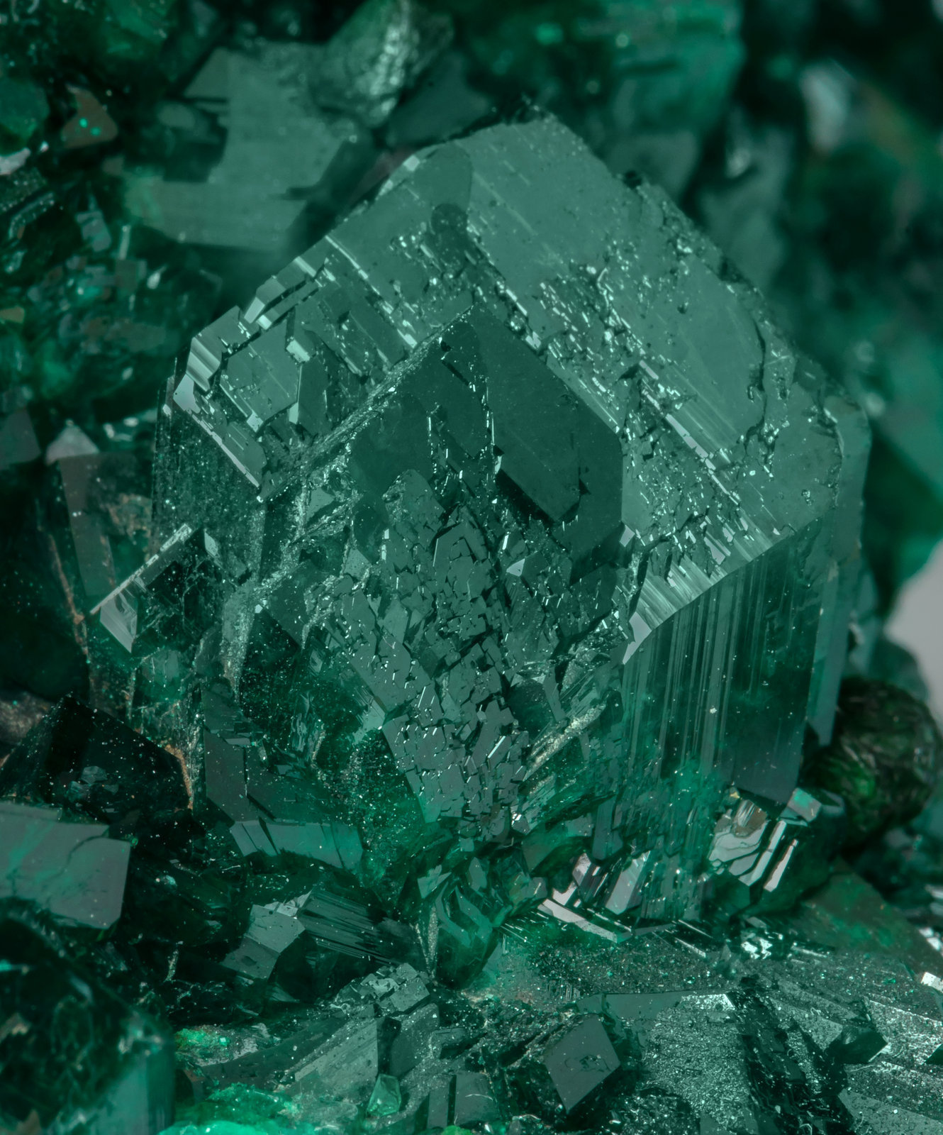 specimens/s_imagesAF6/Dioptase-TR93AF6d2.jpg