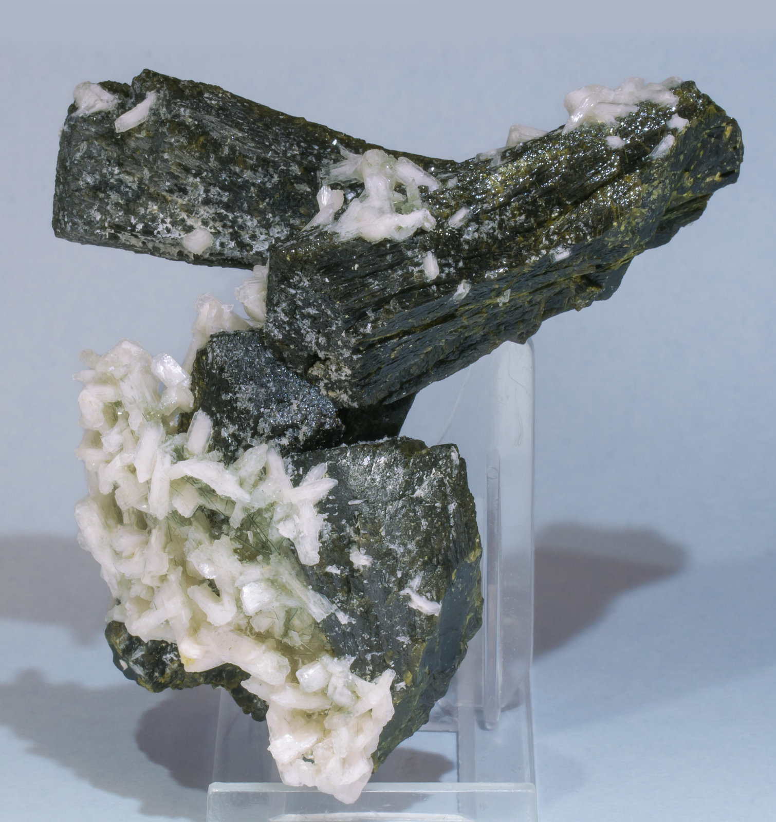 specimens/s_imagesAF6/Epidote-TB67AF6r.jpg