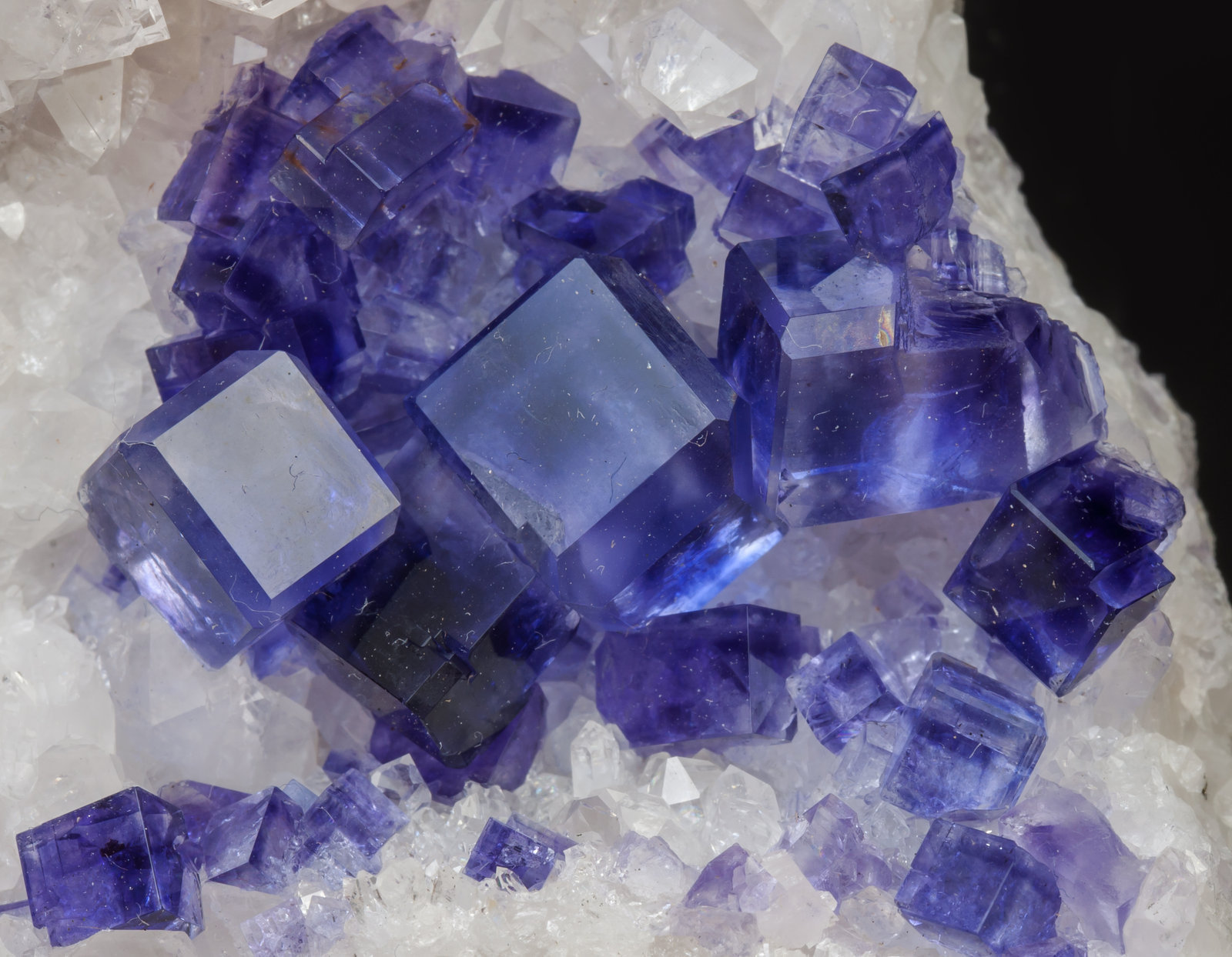 specimens/s_imagesAF6/Fluorite-NP91AF6d.jpg