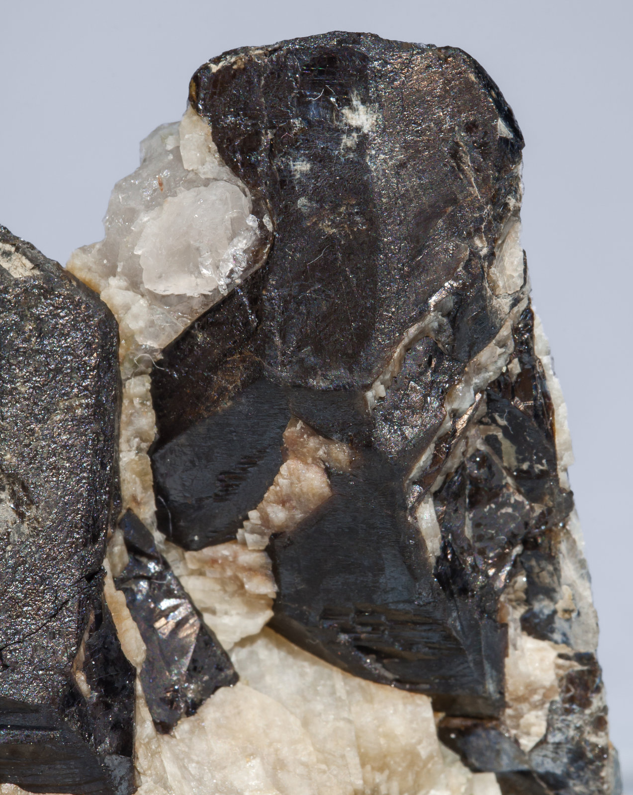 specimens/s_imagesAF7/Gadolinite-Y-EV68AF7d.jpg