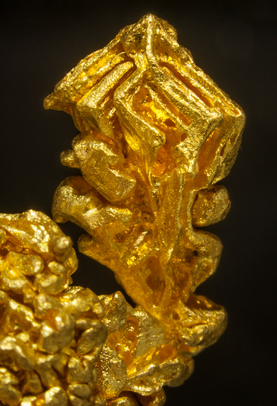 specimens/s_imagesAF7/Gold-TB87AF7d.jpg