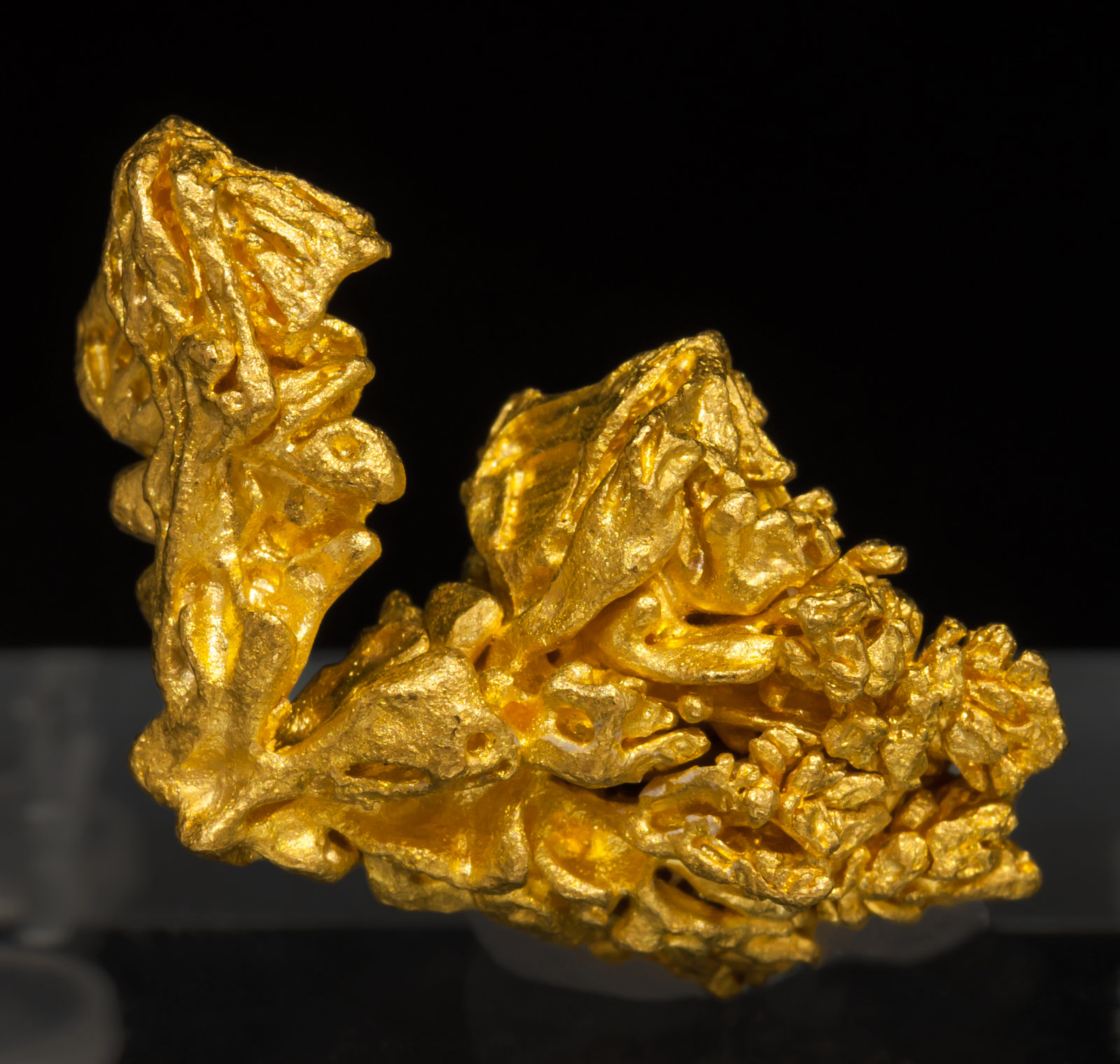 specimens/s_imagesAF7/Gold-TB87AF7r.jpg