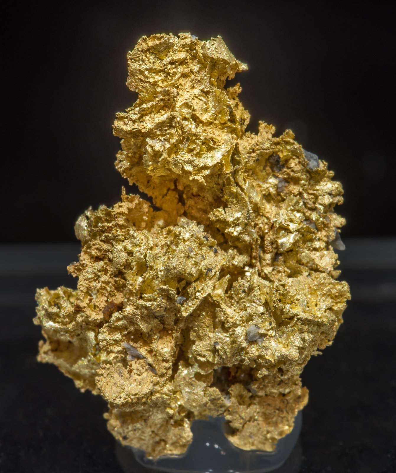 specimens/s_imagesAF7/Gold-TL48AF7f.jpg