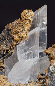 Gypsum with Siderite and Quartz (variety chalcedony). 