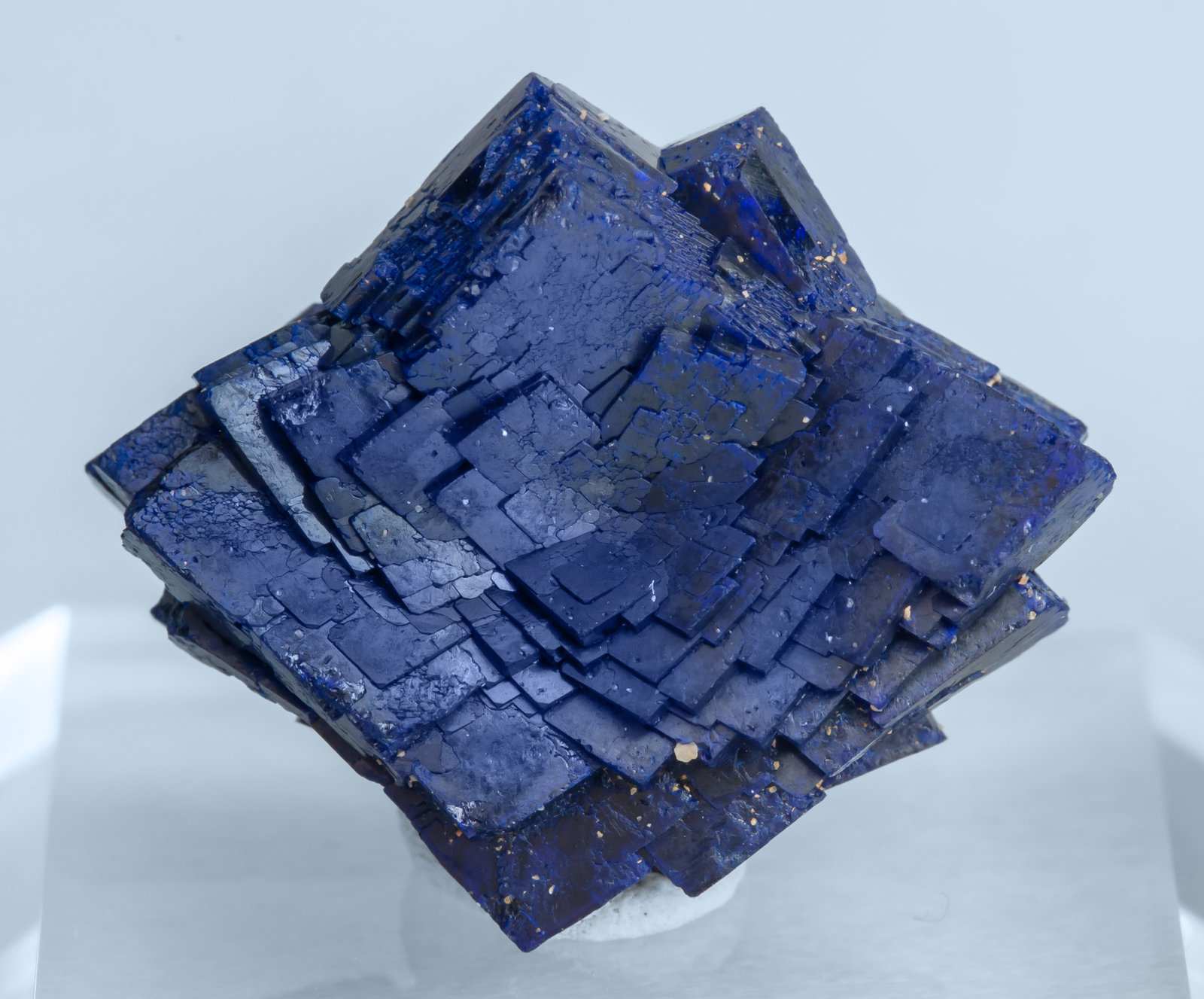 specimens/s_imagesAF8/Azurite-EE47AF8f.jpg