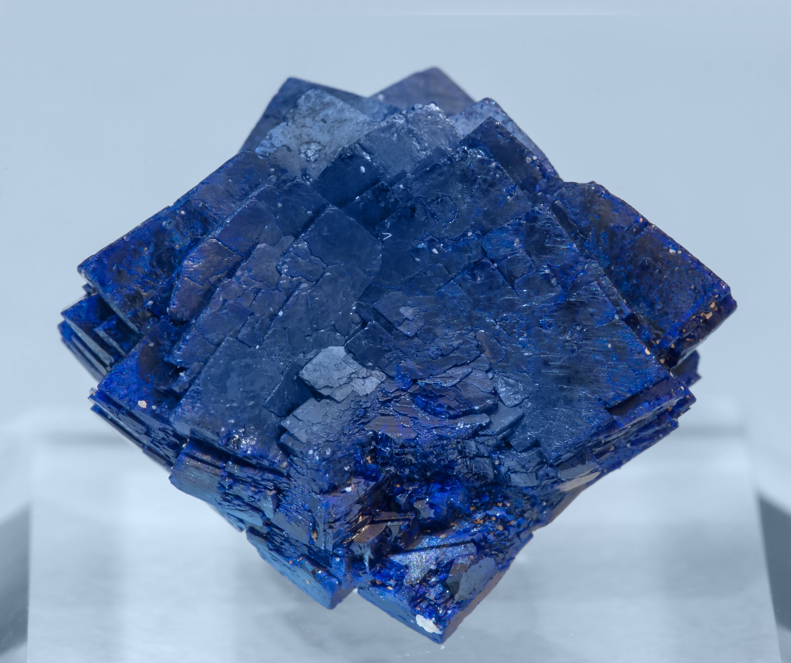 specimens/s_imagesAF8/Azurite-EE47AF8r.jpg