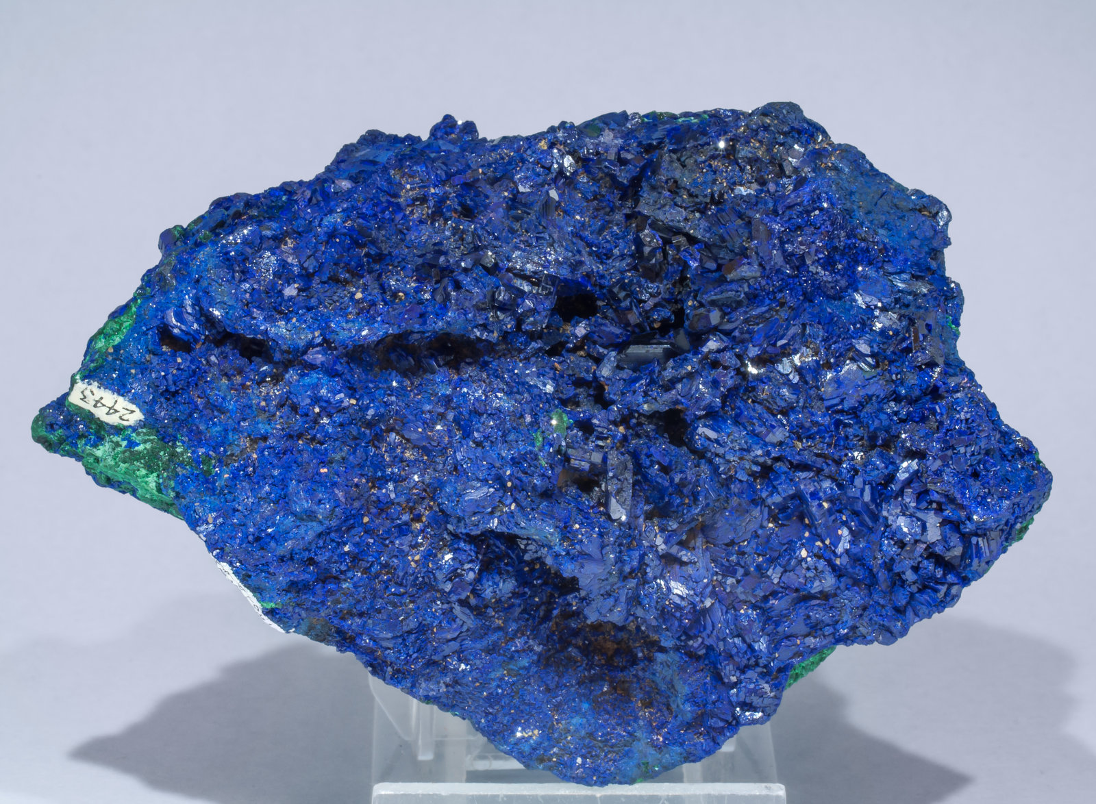 specimens/s_imagesAF8/Azurite-TM26AF8r.jpg