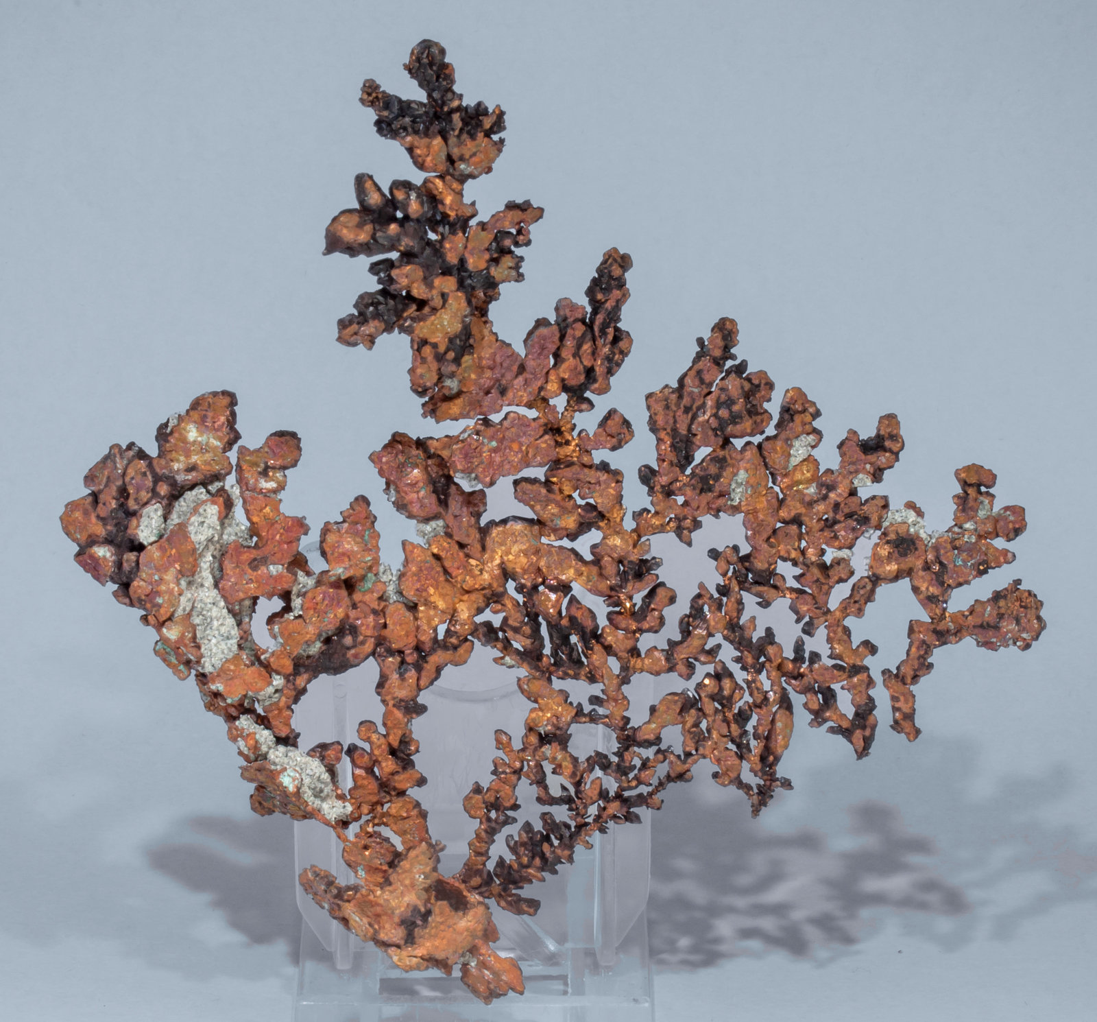 specimens/s_imagesAF8/Copper-TG56AF8f.jpg