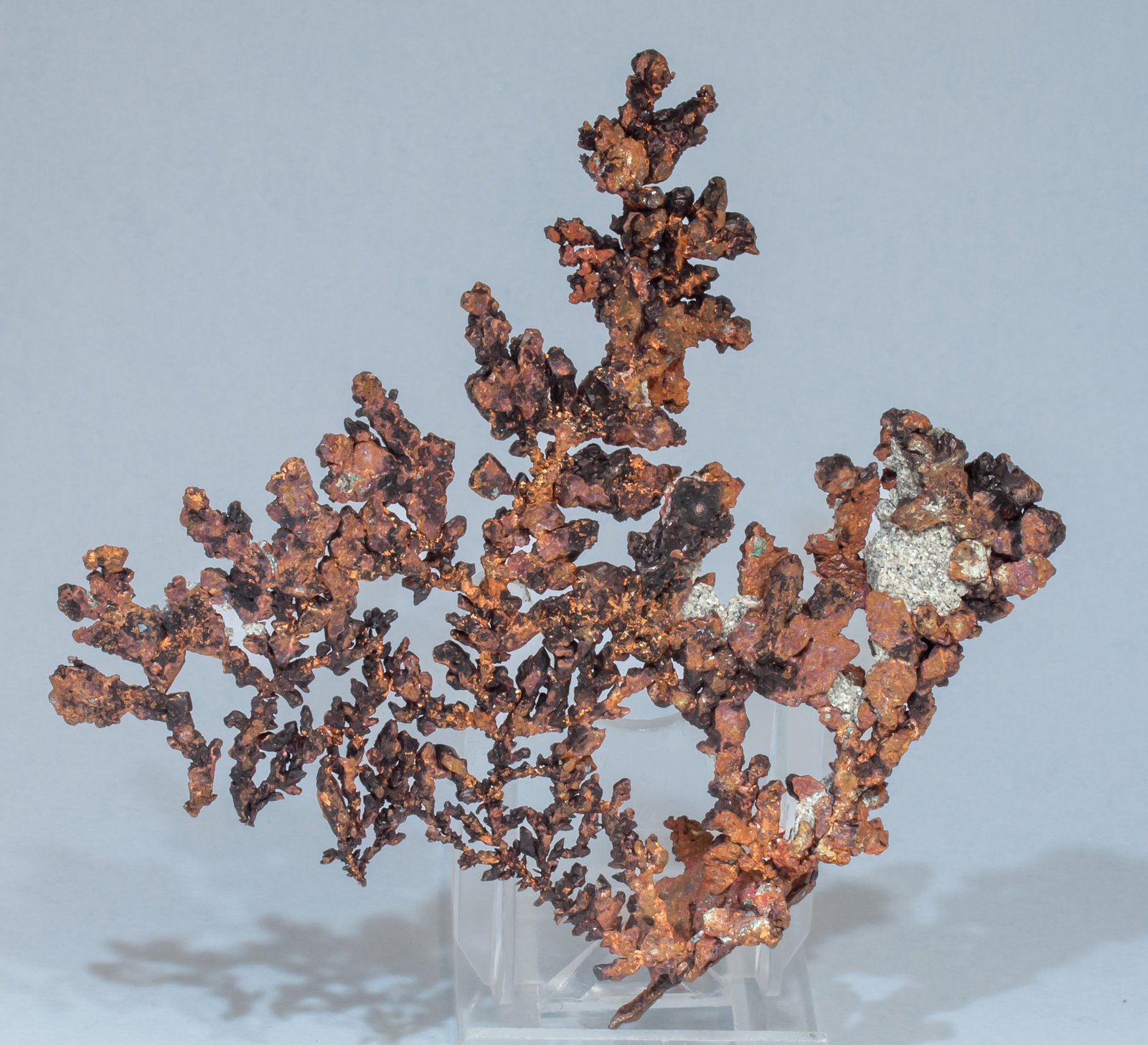 specimens/s_imagesAF8/Copper-TG56AF8r.jpg