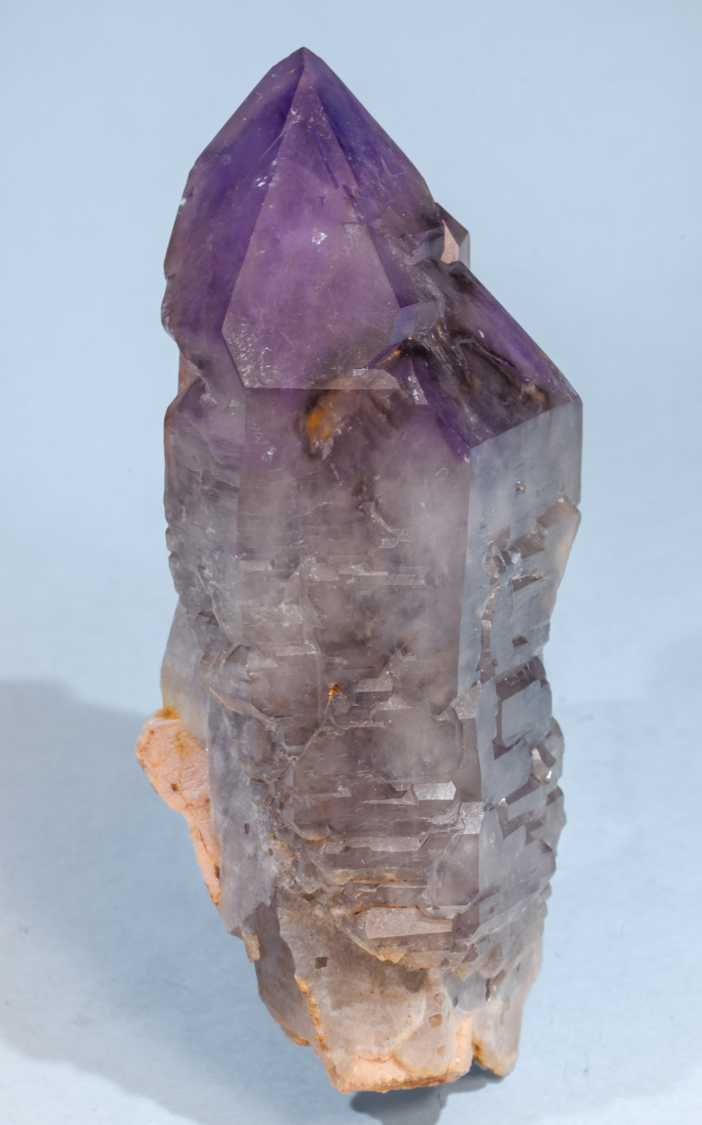 specimens/s_imagesAF8/Quartz_amethyst-DF87AF8s.jpg