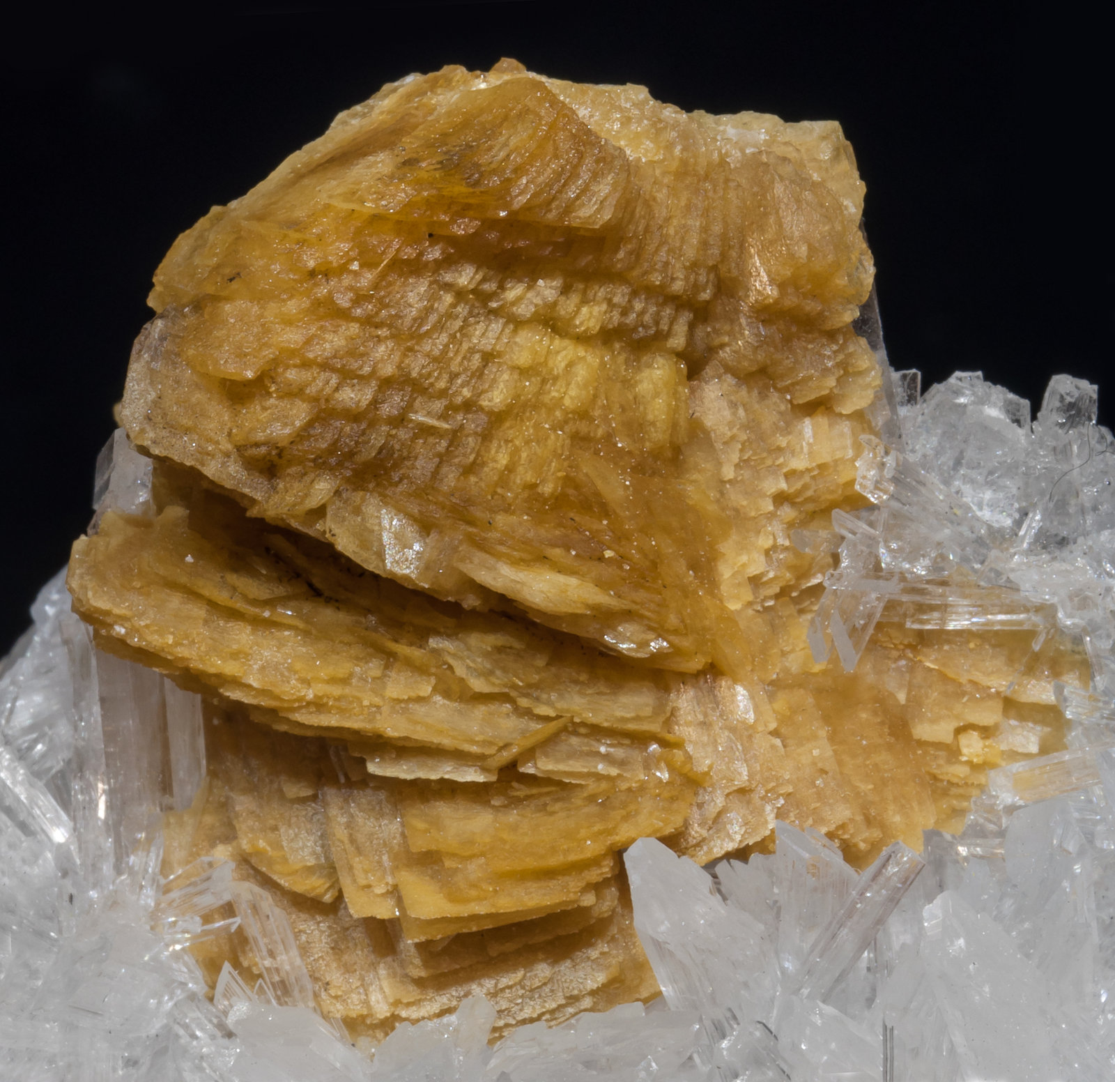 specimens/s_imagesAF8/Roweite-EF29AF8d.jpg