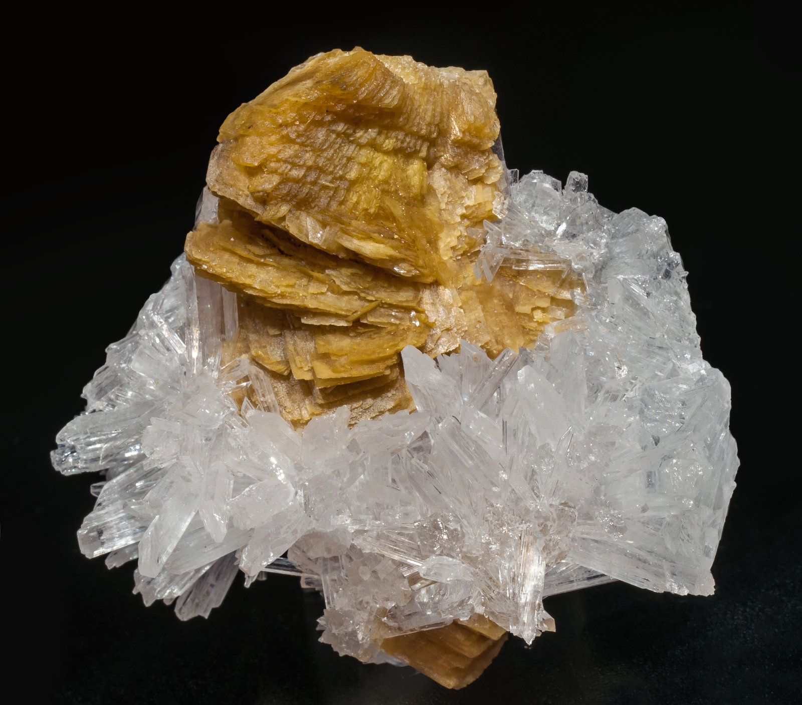 specimens/s_imagesAF8/Roweite-EF29AF8f.jpg