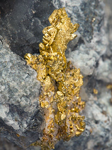 Gold with Quartz. 