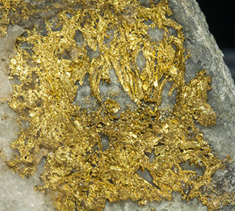 Gold with Quartz. 