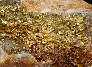 Gold with Quartz. 