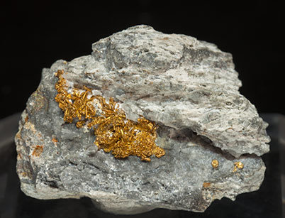 Gold with Quartz.