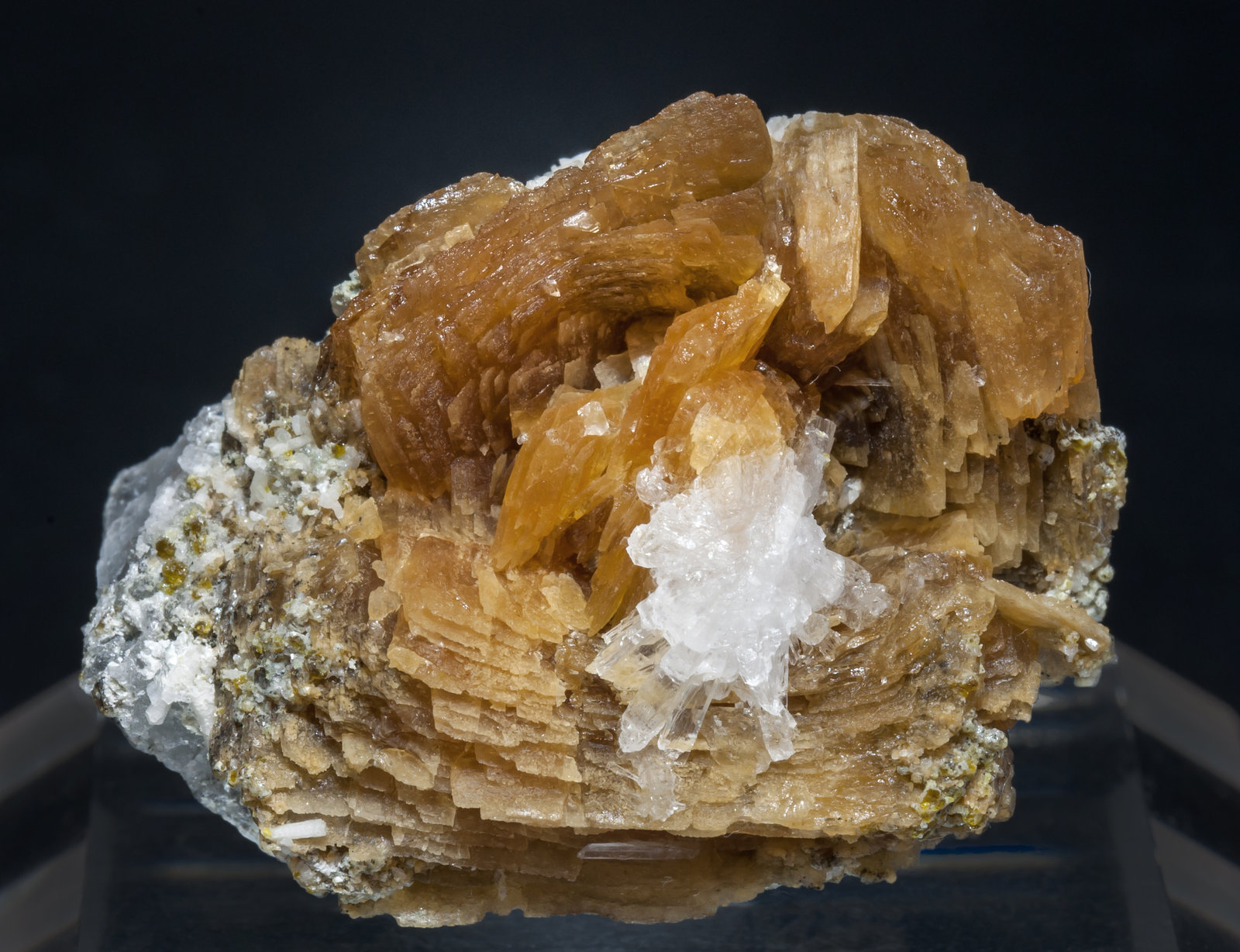 specimens/s_imagesAF9/Roweite-EB99AF9f.jpg