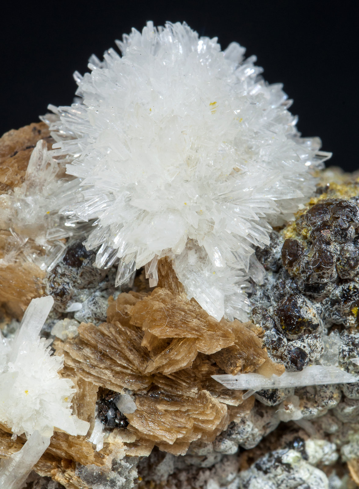 specimens/s_imagesAF9/Roweite-EH57AF9d.jpg