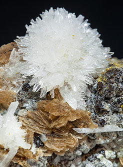 Roweite with Olshanskyite and Andradite. 