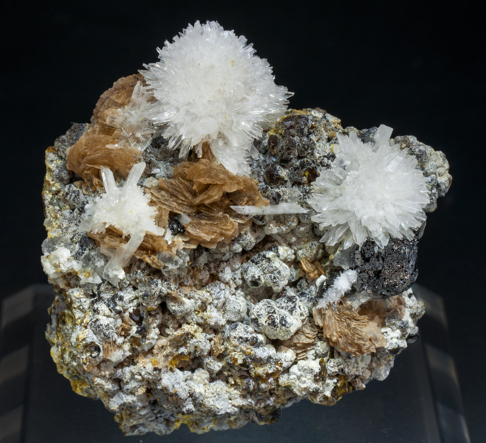 specimens/s_imagesAF9/Roweite-EH57AF9f.jpg