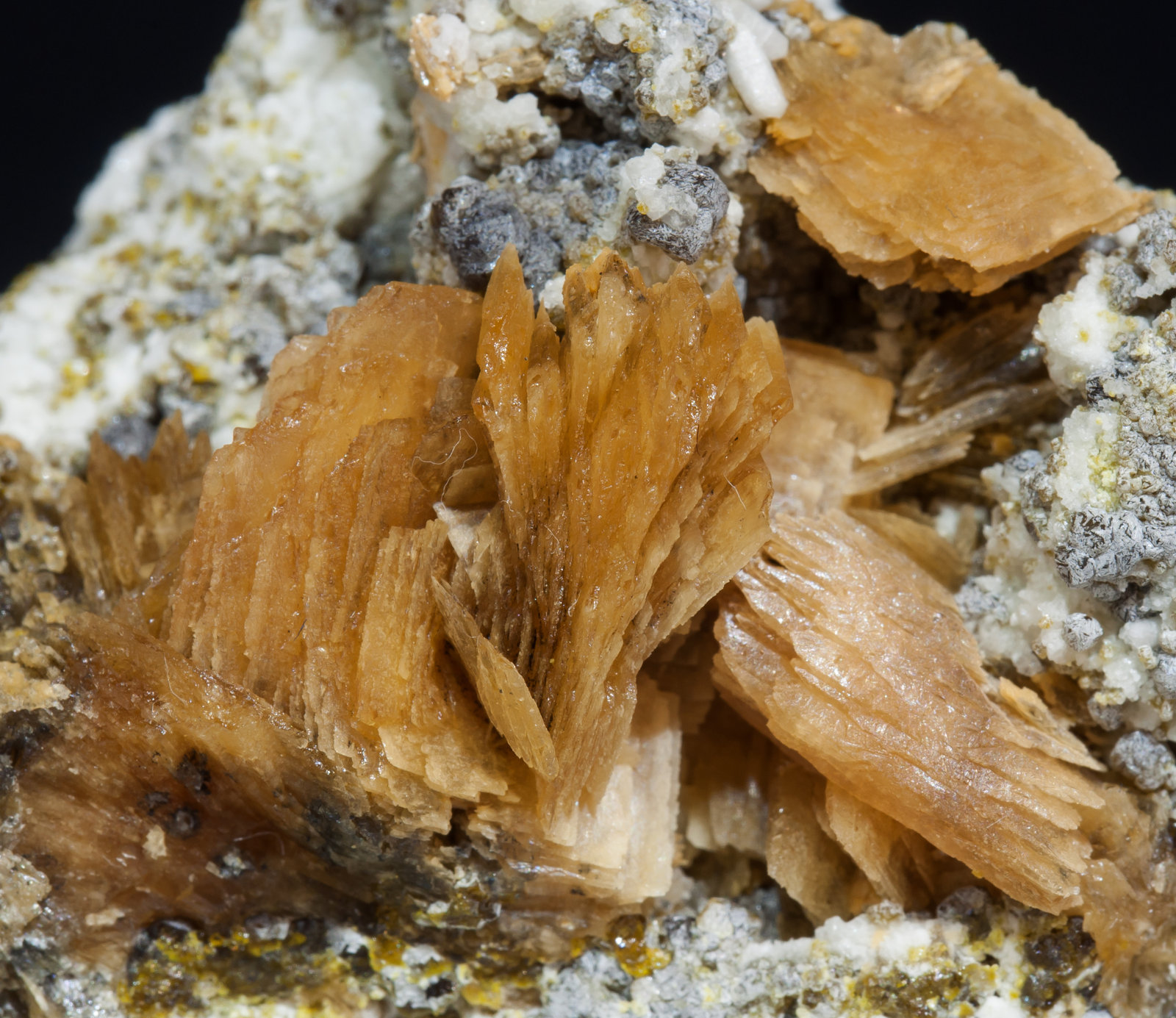 specimens/s_imagesAF9/Roweite-EK29AF9d.jpg